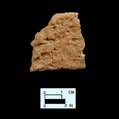 Accokeek Body sherd (exterior) from the Bathhouse site 18AN37.